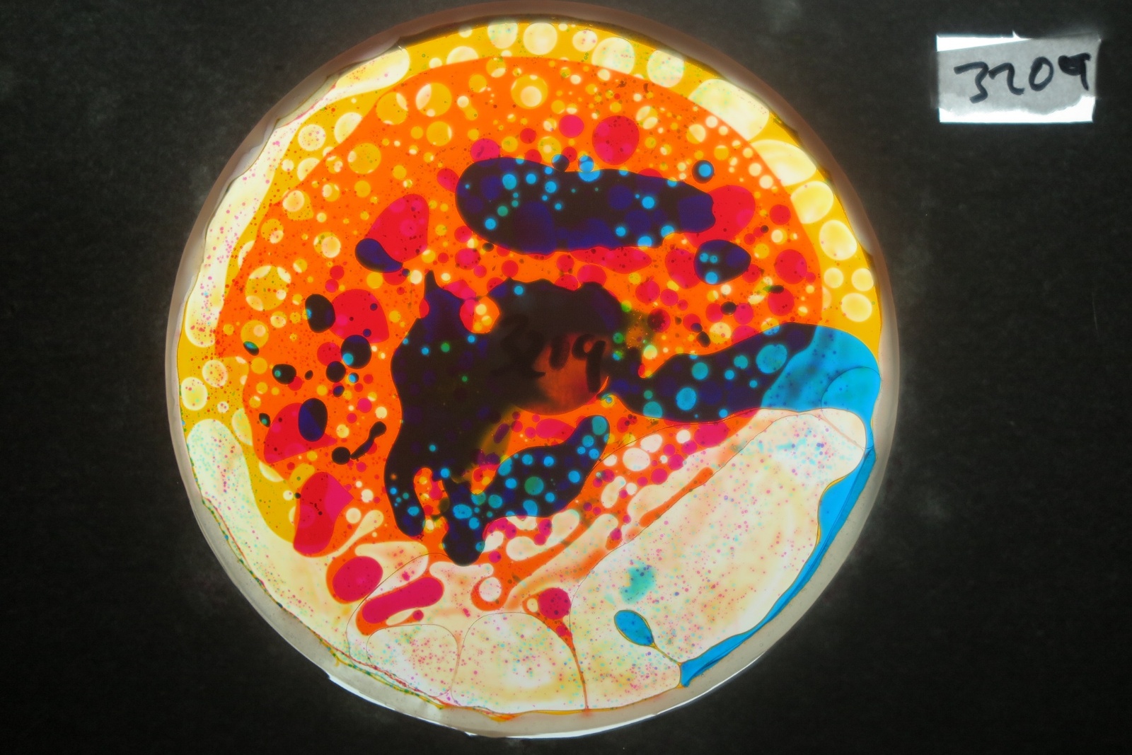 BV3209 bubble vision oil wheel